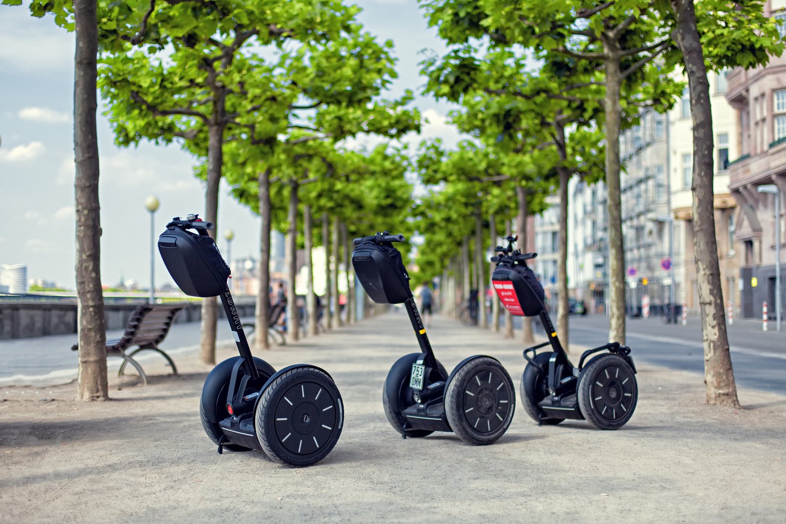 Drei Segways parken auf einer von Bäumen gesäumten Allee, bereit für eine Tour dank zuverlässiger Segway Reparatur.